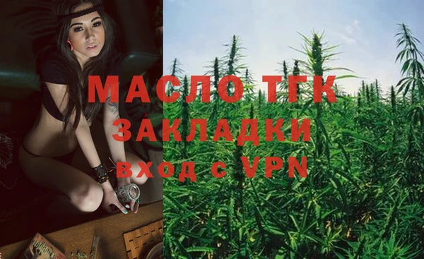 ECSTASY Богданович