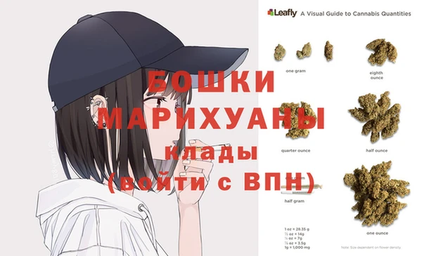 шишки Богородск
