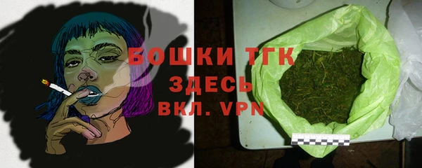 ECSTASY Богданович