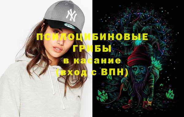 шишки Богородск