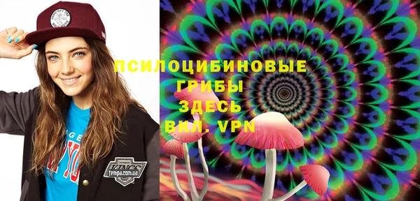 шишки Богородск