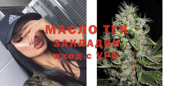 ECSTASY Богданович