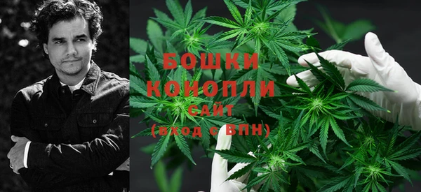 шишки Богородск
