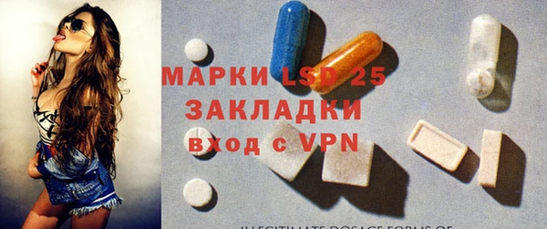 ECSTASY Богданович