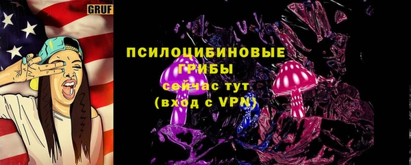 ECSTASY Богданович