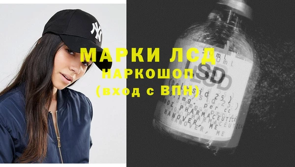 ECSTASY Богданович