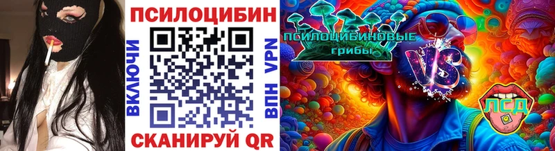 Псилоцибиновые грибы мицелий  дарнет шоп  Невель 